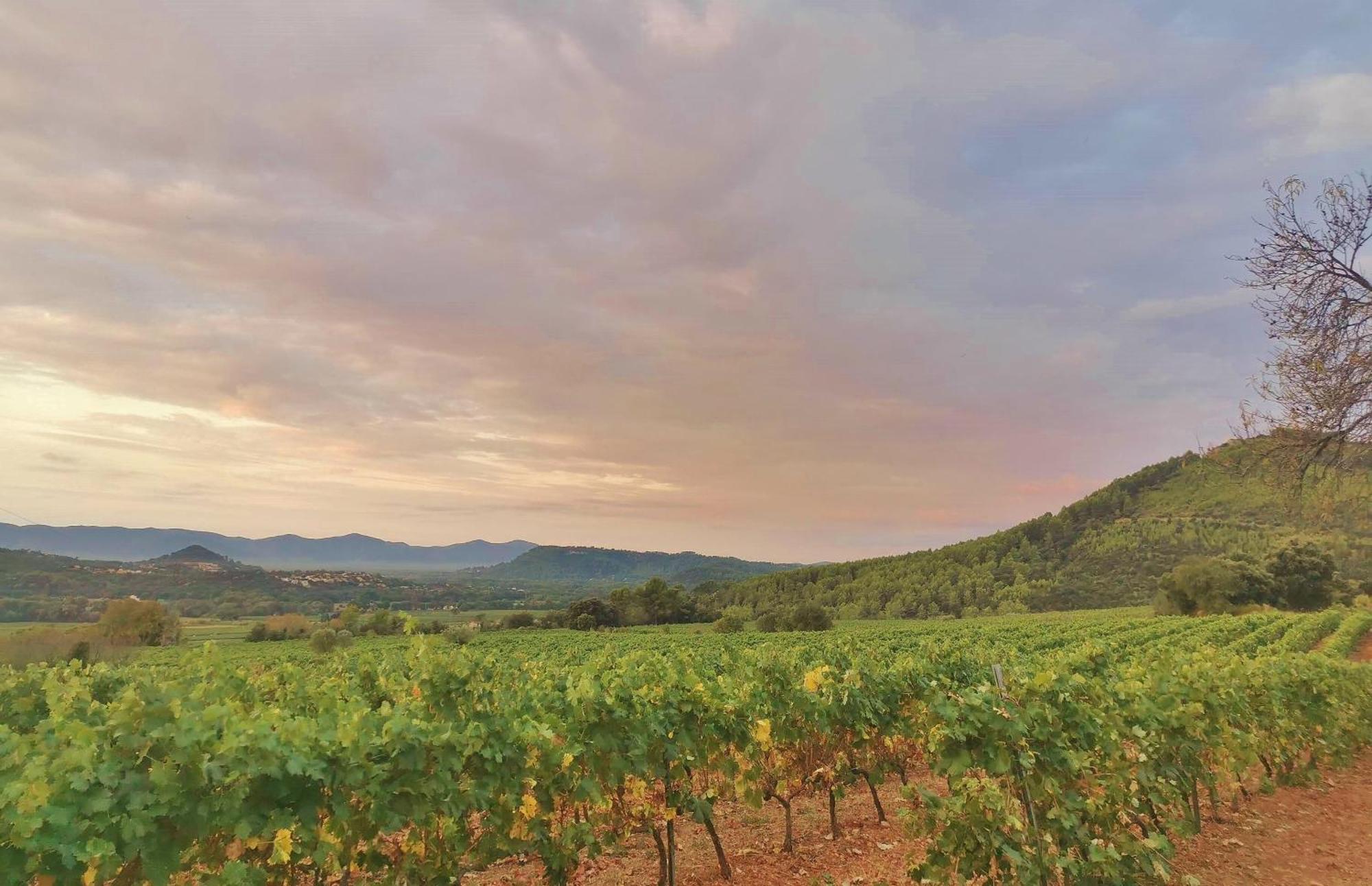 Le Nid En Chante Vue Panoramique Les Arcs-sur-Argens 外观 照片