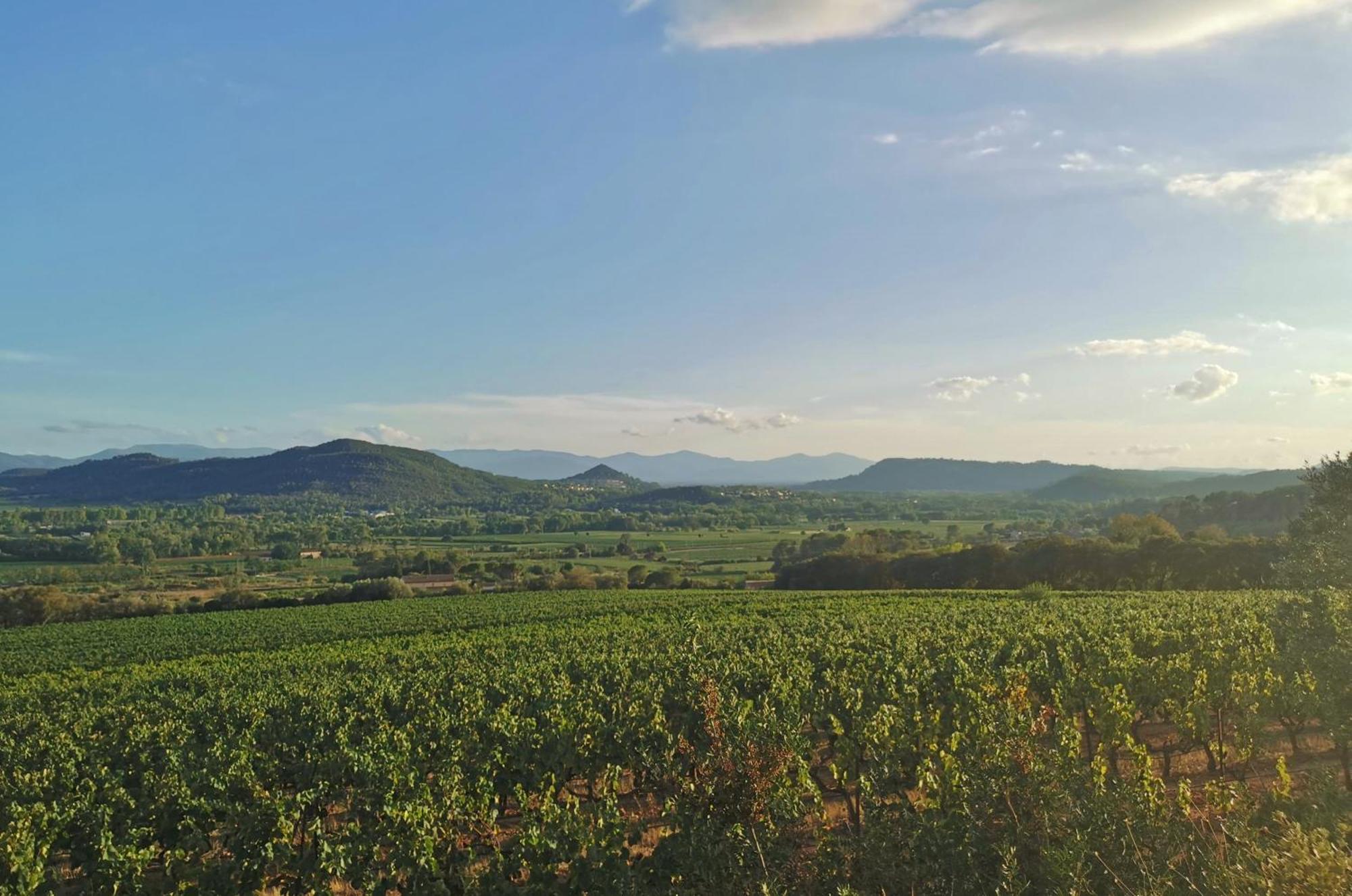 Le Nid En Chante Vue Panoramique Les Arcs-sur-Argens 外观 照片